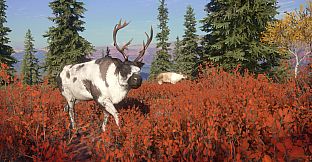 theHunter: Call of the Wild - Yukon Valley