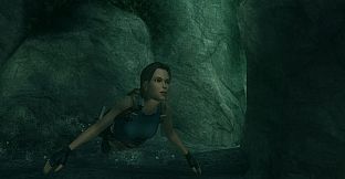 Tomb Raider: Anniversary
