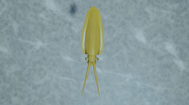 Cambrian Dawn - Mollusc Duo DLC