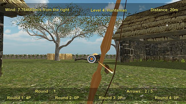 Precision Archery: Competitive