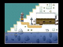 The treasure of the lost temple