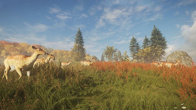 theHunter: Call of the Wild - Facing the Wild 1