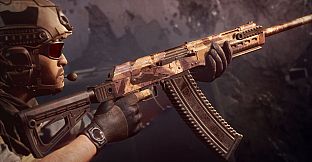 Insurgency: Sandstorm - Clear Sight Bundle