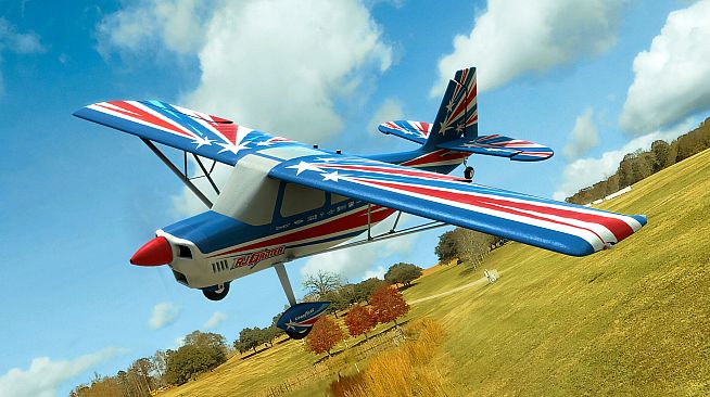 RealFlight Evolution - 2024 Year Content Pass