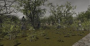 Shadows of Absence