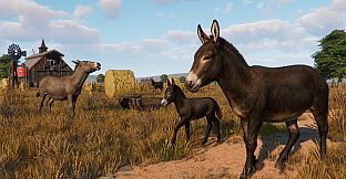 Planet Zoo: Barnyard Animal Pack