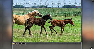 Jigsaw Puzzle Pack - Pixel Puzzles Ultimate Germany 2