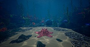 Starfish Simulator