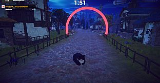 Cat Karting
