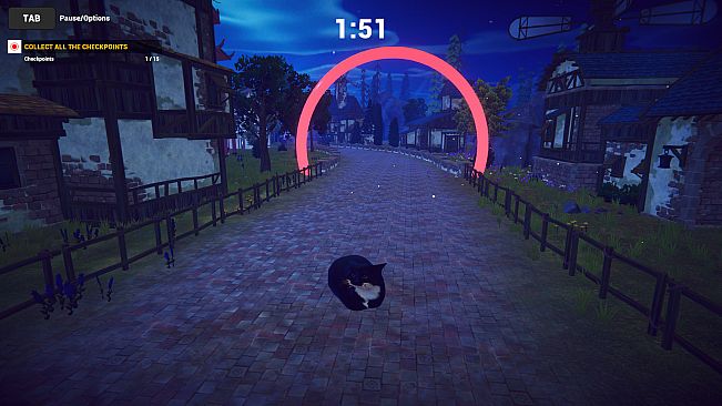 Cat Karting