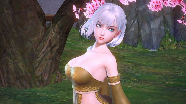Angel Legion-DLC Draped Corsetry E