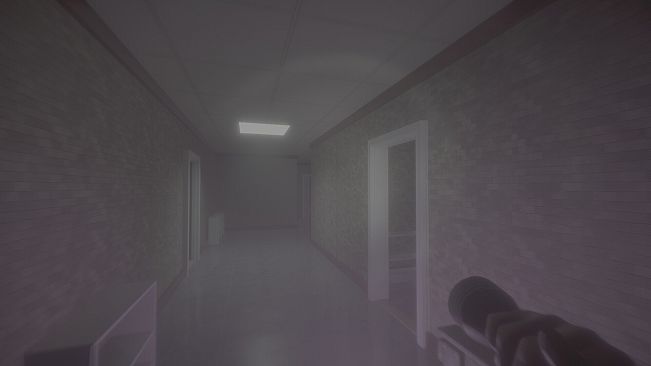 Backrooms: The Forgotten Ones