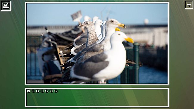 Super Jigsaw Puzzle: Generations - Birds Puzzles