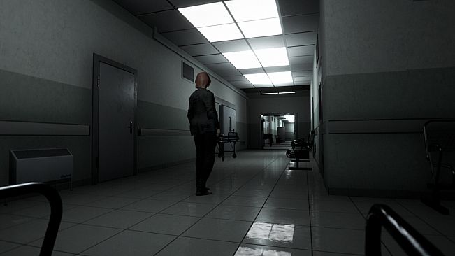 In the Belly of the Night