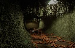 Backrooms: Escape Together