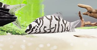 Fish Game - Indian Subcontinent Fish Pack 1