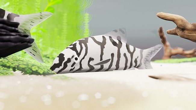 Fish Game - Indian Subcontinent Fish Pack 1