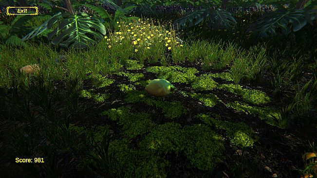 Lemon Simulator