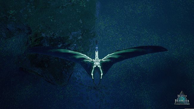 Beasts of Bermuda - Tropeognathus Supporter Warpaint