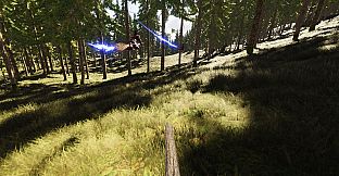 Broom Racer