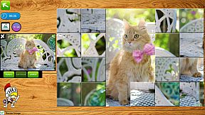 Puzzle Box: 10-in-1 Puzzle Collection