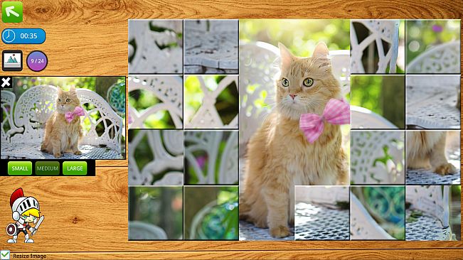 Puzzle Box: 10-in-1 Puzzle Collection