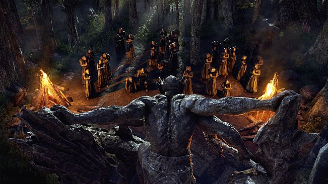 The Elder Scrolls Online Collection: Blackwood Collector's Edition