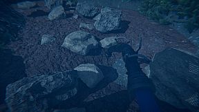 Dinosaur Fossil Hunter