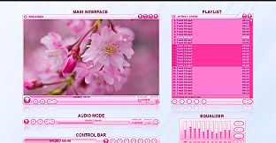 Zoom Player 16 : Steam Edition