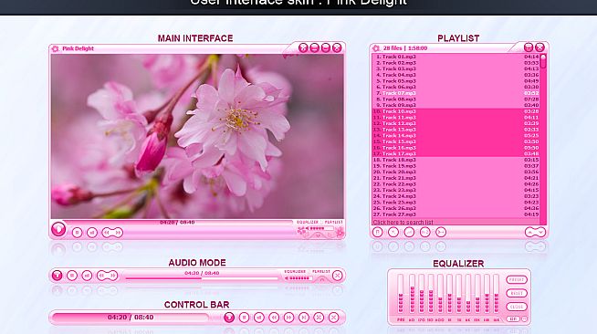 Zoom Player 16 : Steam Edition