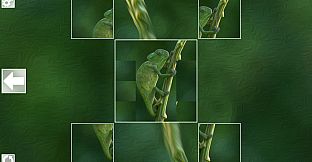 Puzzle Art: Reptiles