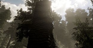 The Woods: VR Escape the Room