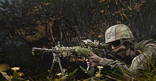 Squad Weapon Skins - Dragon Pack