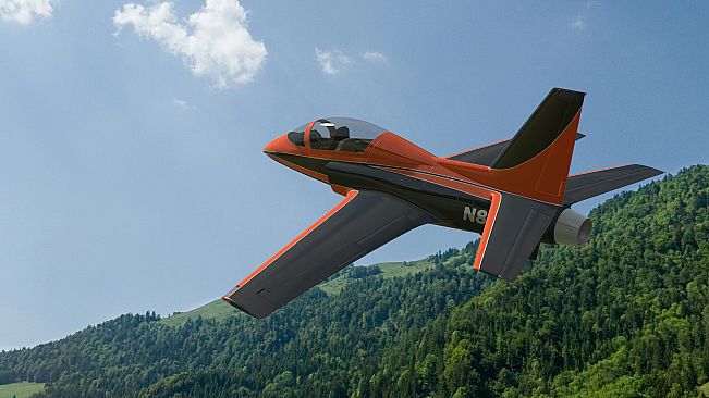 RealFlight Evolution - 2024 Year Content Pass