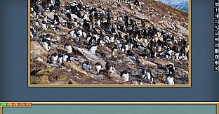 Jigsaw Puzzle Pack - Pixel Puzzles Ultimate: PP2 Birds