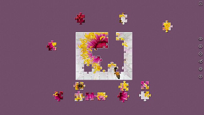 House of Jigsaw: The Best of Macro Photography