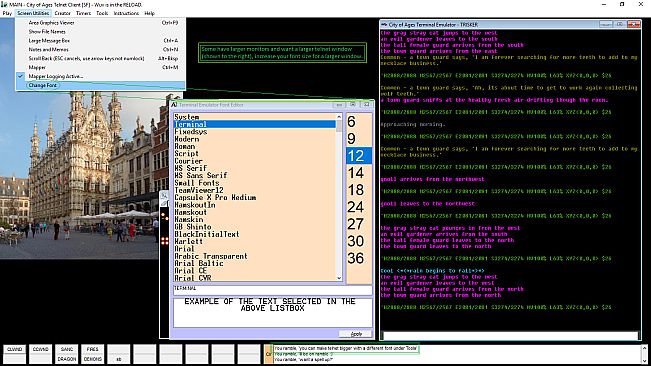 City of Ages: Picture Supportive Text MUD (server and client included)