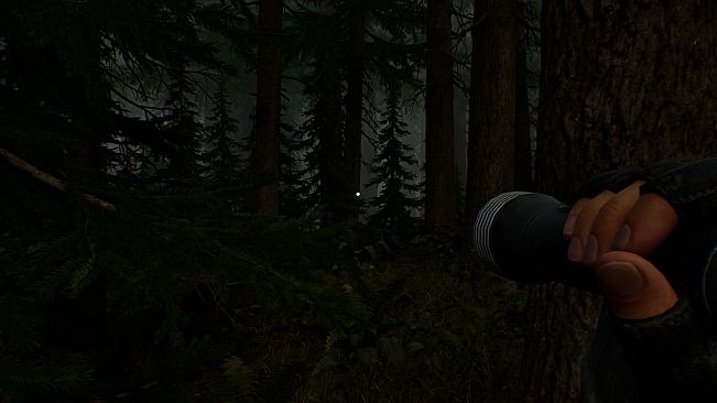 Crescent Creek: Survival Horror