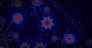 Microcosmum: survival of cells - Campaign  "New life"