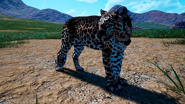 Animalia Haloween Pack