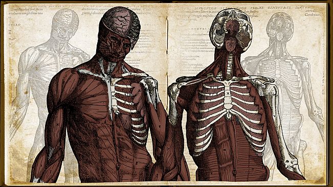 Wound Man - Supporter Pack