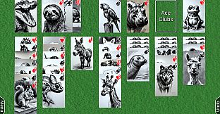 Wyvern Solitaire Deck Pack: Variety