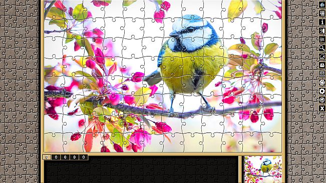 Pixel Puzzles Traditional Jigsaws Pack: Variety Pack XS