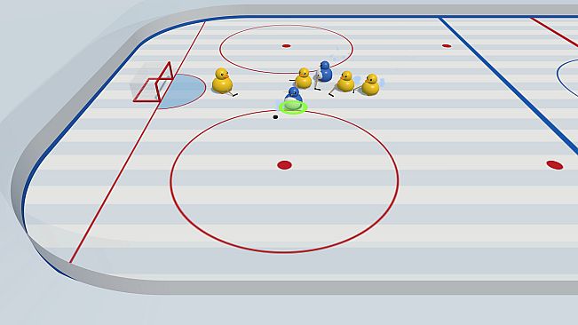 Bird Hockey League