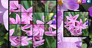 OG Puzzlers: Spring 2K24