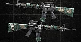 Squad Weapon Skins - Recon Team Pack