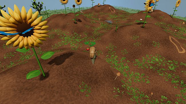 From a Single Seed