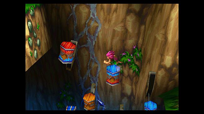 Tomba! 2: The Evil Swine Return Special Edition