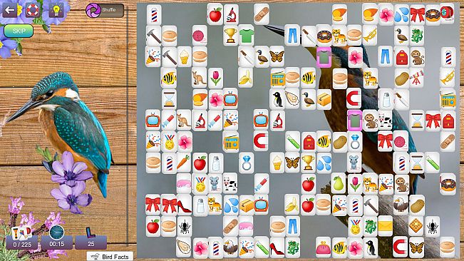 Hidden Pairs 3: Lovely Birds - Hidden Objects