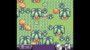 Toni Island Adventure